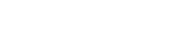 Salamander Designs